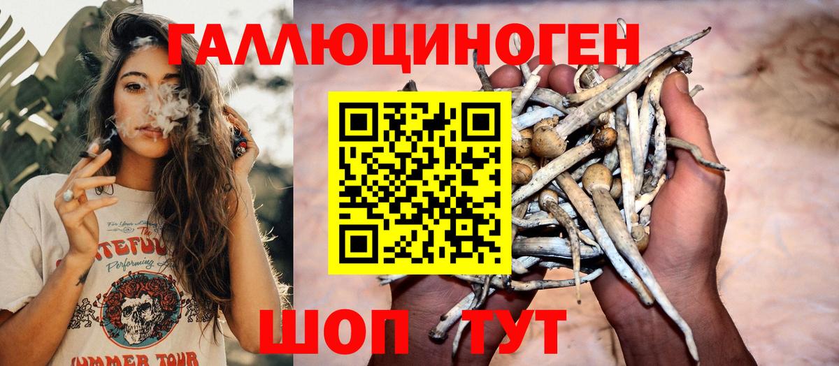Екатеринбург  Псилоцибиновые грибы Magic Shrooms  Вход с VPN 