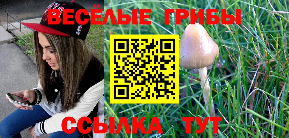 Псилоцибиновые грибы мухоморы Екатеринбург